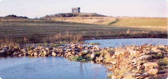 Active Sunderland Weekly Walks 